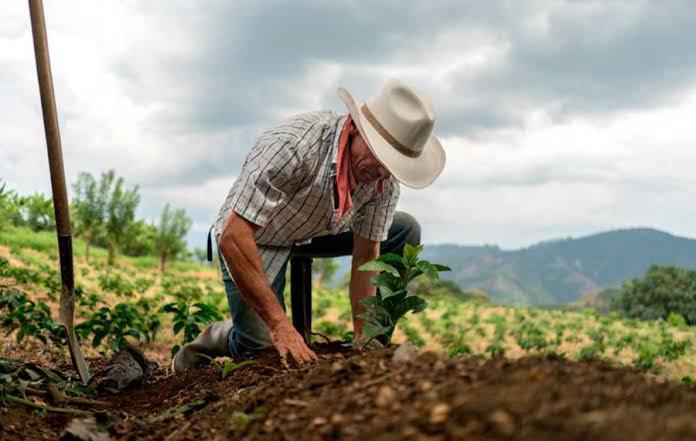 Pandemia beneficia a campesinos; venden sin intermediarios