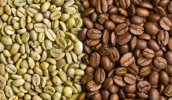 Poco a poco crece producción de café mexiquense