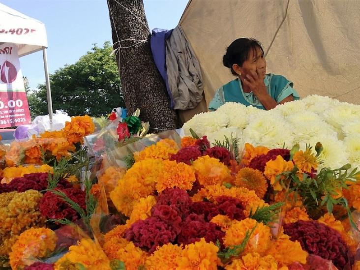 Mercado de flores de Tenancingo ya está rebasado;  productores buscan espacios para comercializar