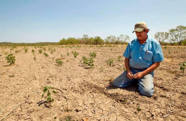 Disminuyó 25% producción de alimentos en campo mexiquense