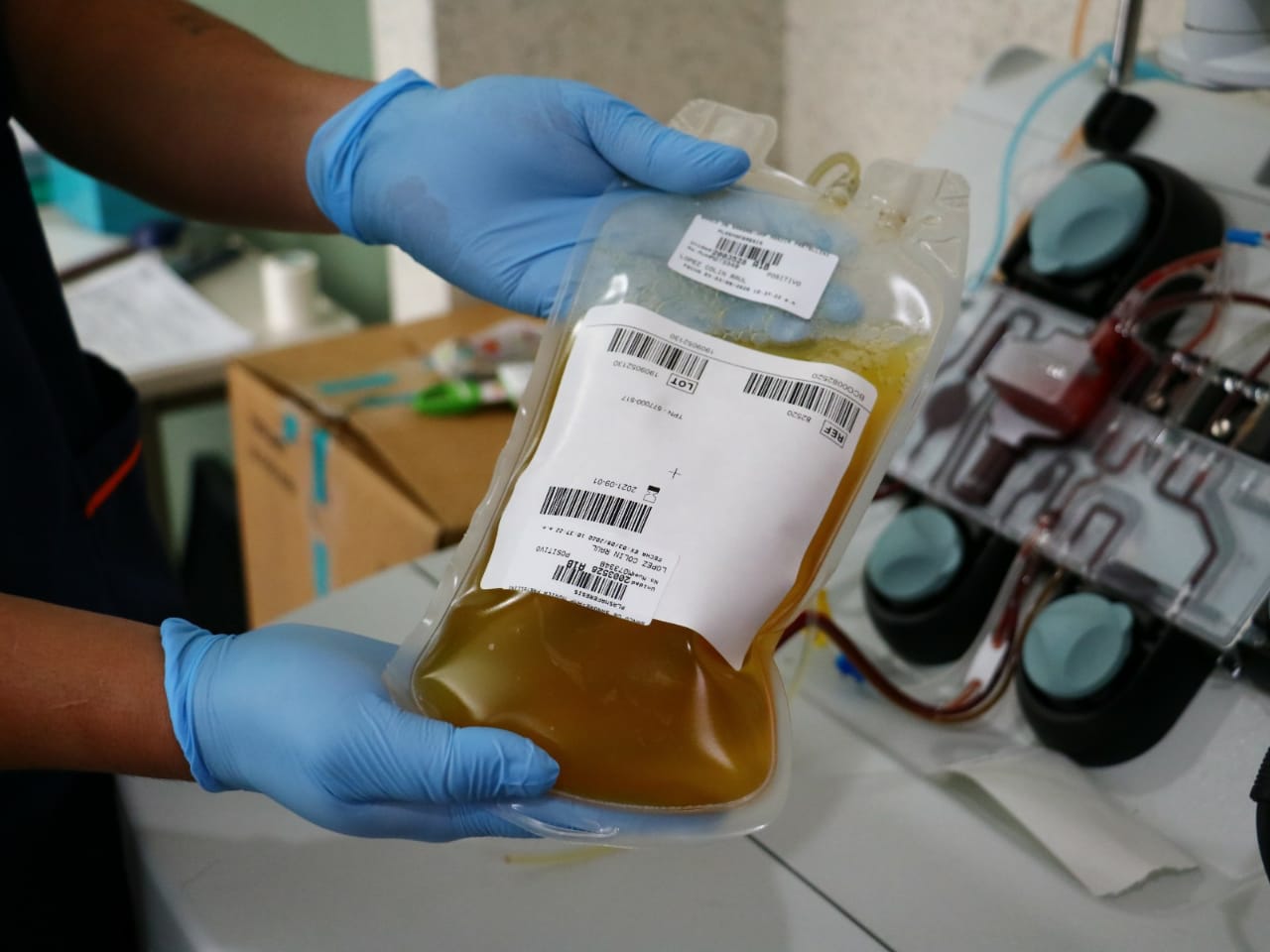 donación de plasma de recuperados