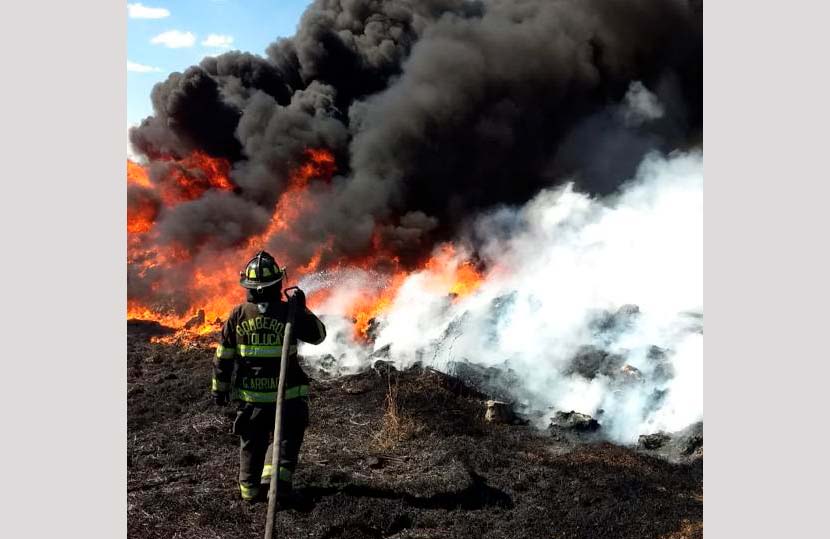 66% de incendios atendidos por Bomberos de Toluca son de pastizales