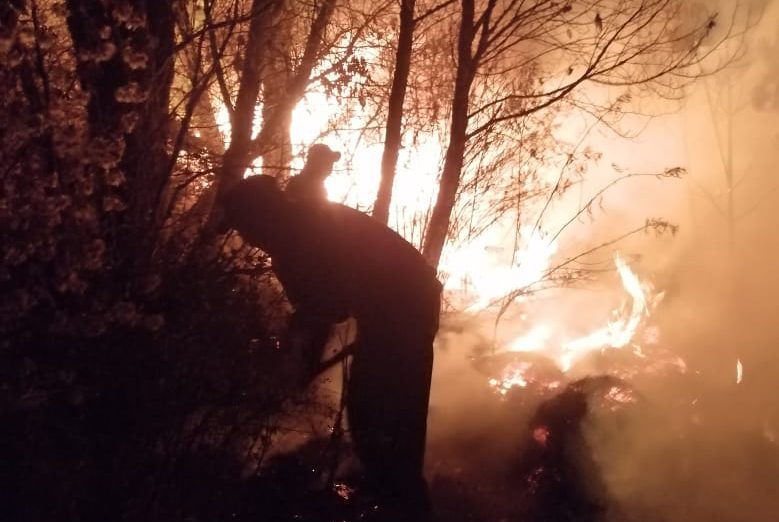 Incendio del Nevado de Toluca dejó graves consecuencias ambientales