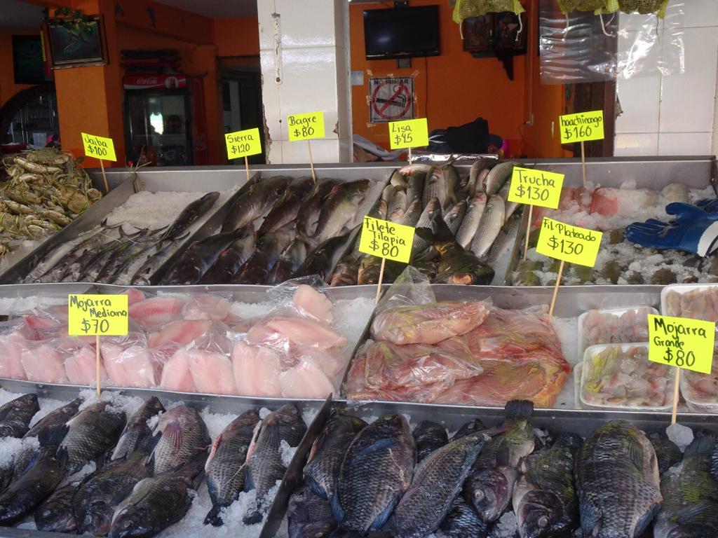 Caen ventas de pescado en San Luis Mextepec