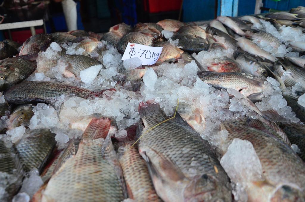 Inicia la Cuaresma; la mojarra, a 70 pesos el kilo, es de lo más barato en pescados y mariscos