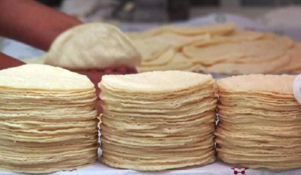 Tortilla sube hasta 20 pesos el kilo, revela Profeco