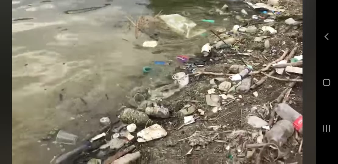 Contaminación del Lago de Guadalupe mata peces, aves y flora local