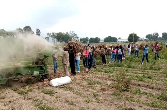 Sin estudiantes, suspenden investigaciones en campos experimentales de Chapingo