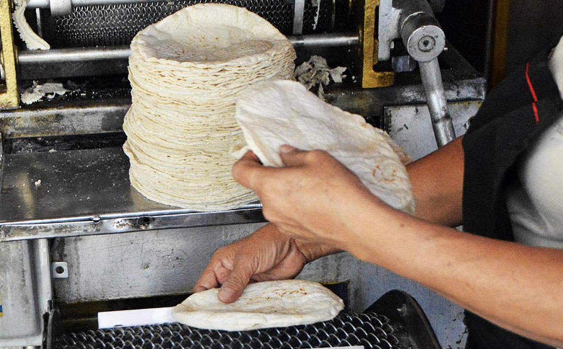 Kilo de tortilla se vende hasta en 27 pesos, reporta Profeco