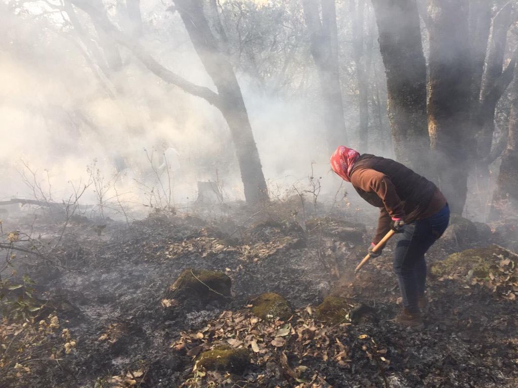 Piden ayuda en Acambay para combatir incendio forestal