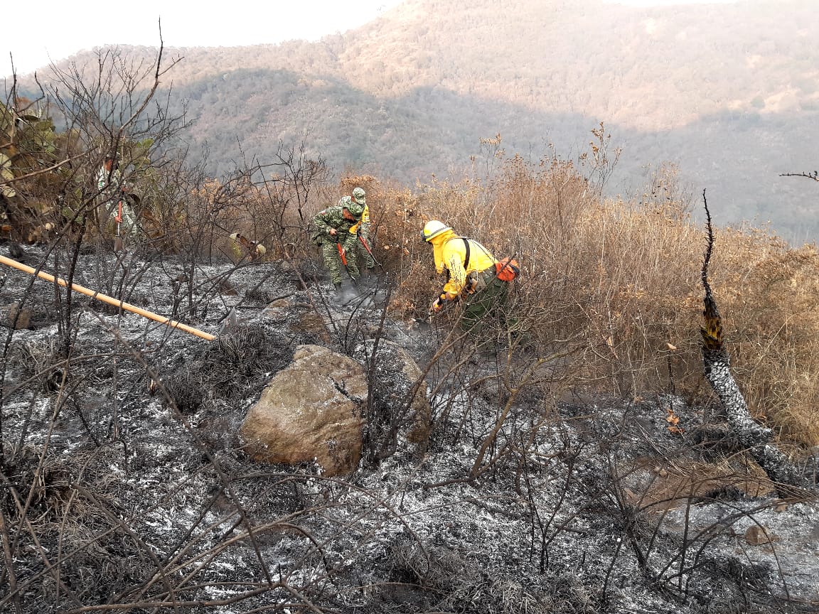 Incendio arrasó con 60 hectáreas de la Sierra de Guadalupe