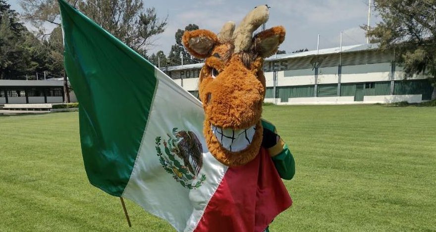 Llega Kuako a semifinal del Torneo Mundial de Mascotas