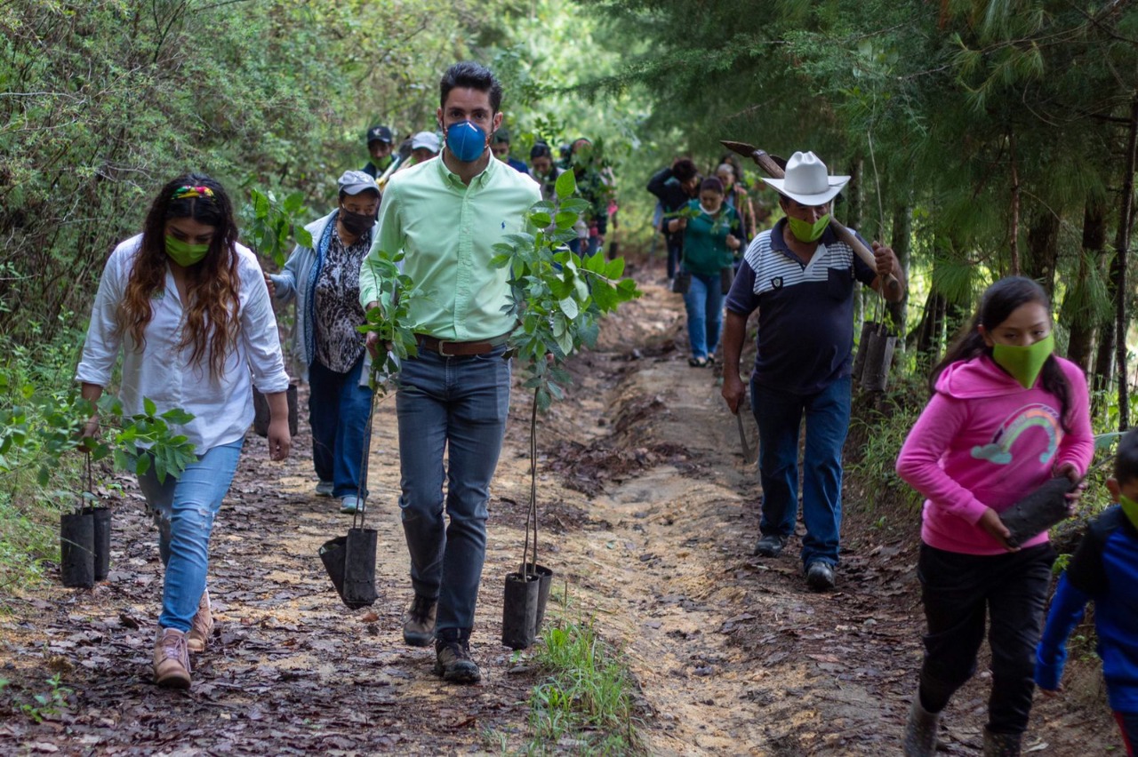 PVEM propone becas para jóvenes a cambio de trabajo comunitario