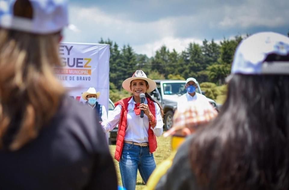 Aliados del PRI exigen intervención federal ante amenazas del crimen a Zudikey Rodríguez