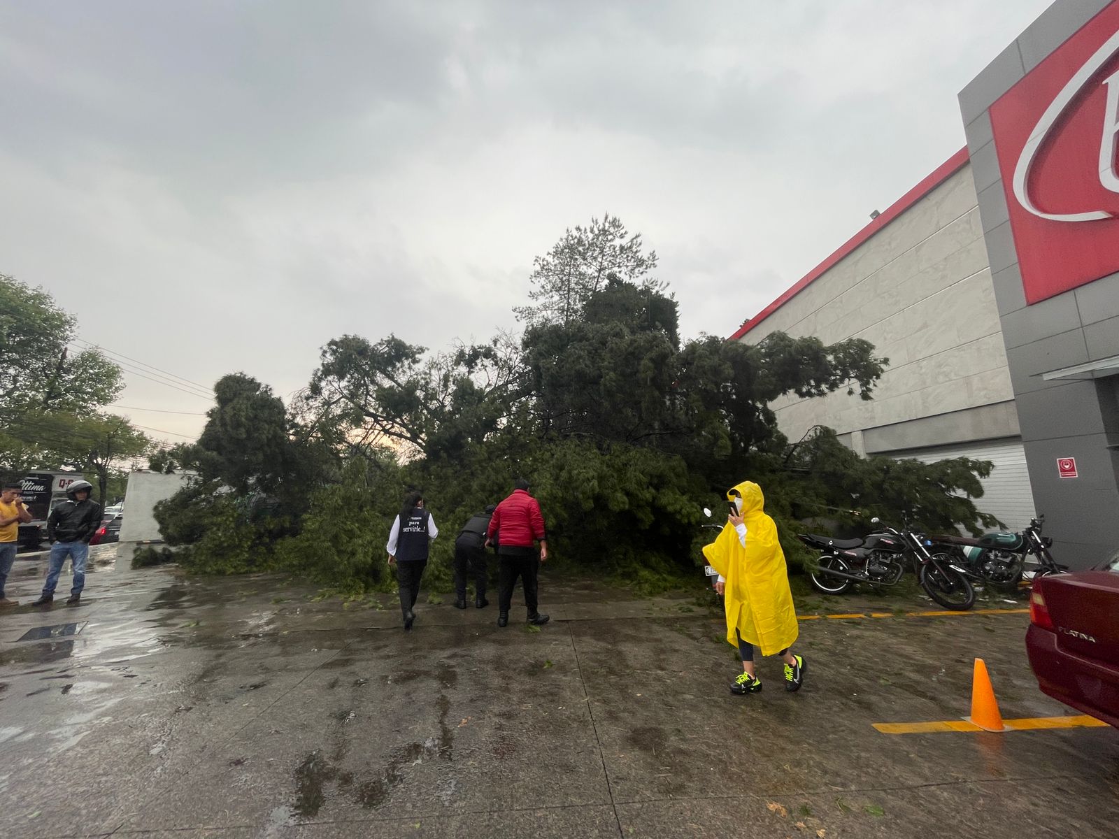 los municipios más afectados fueron Metepec, San Mateo Atenco, Lerma, Ocoyoacac, Mexicaltzingo, Almoloya de Juárez y Toluca