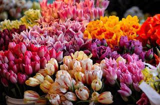 Floricultores reportan buena venta de flores para este Día de las Madres