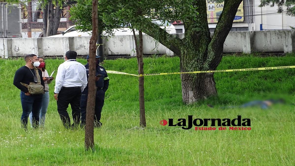 Amanece cadáver en Paseo Tollocan; se presume fue atropellado