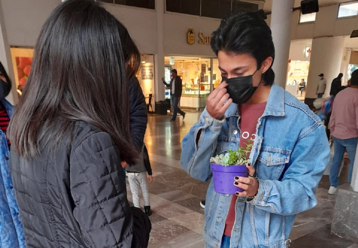 El joven vendiendo sus plantas