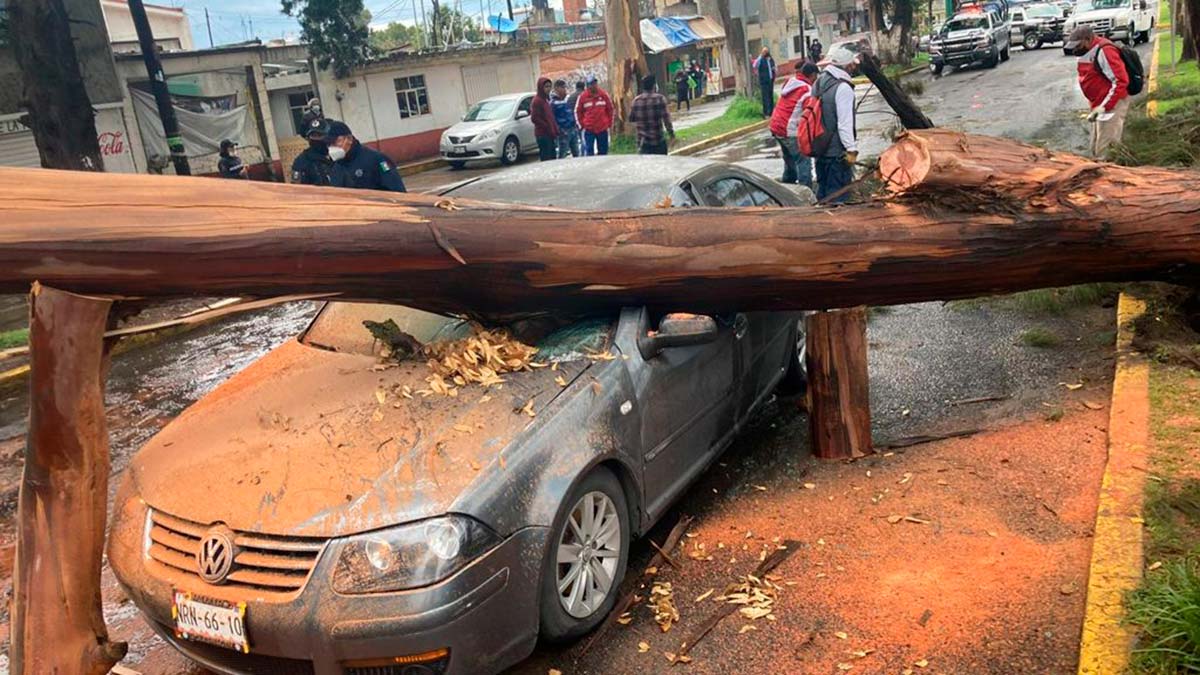 Árbol aplasta a vehículo en Zinacantepec; hay un herido