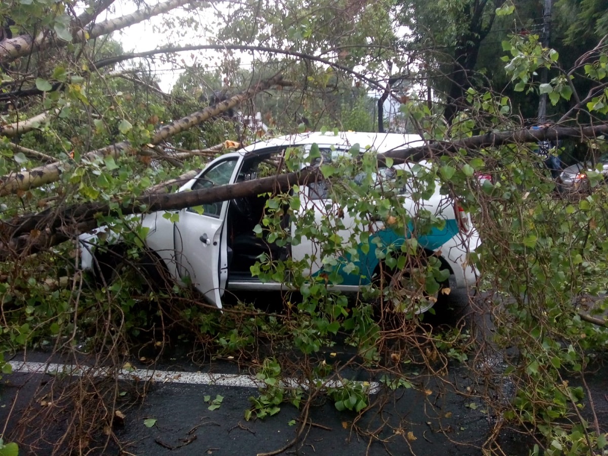 Video: Lluvias intensas causan severos estragos en Atizapán, Naucalpan y Tlalnepantla