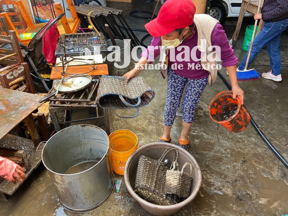 Mujer limpiando su casa