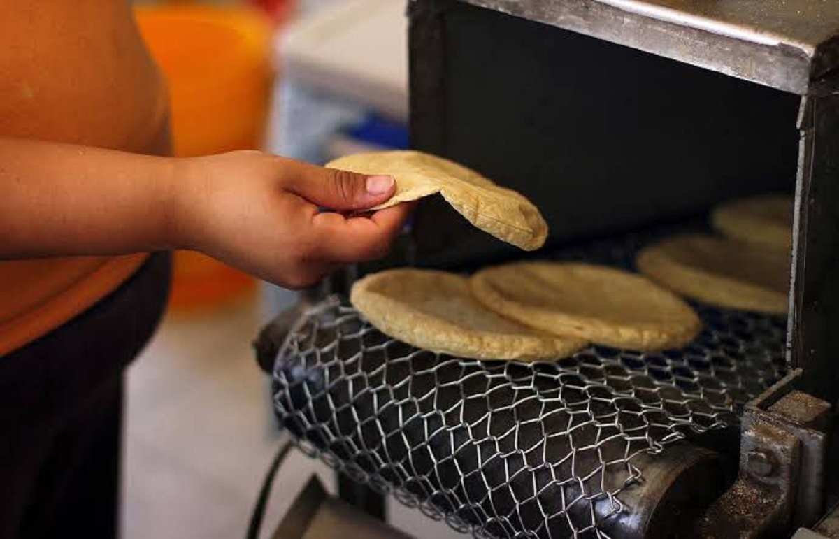 Problemas en la distribución de gas LP afecta la producción de tortillas