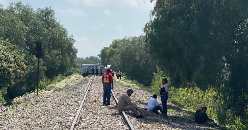 se lo lleva en tren