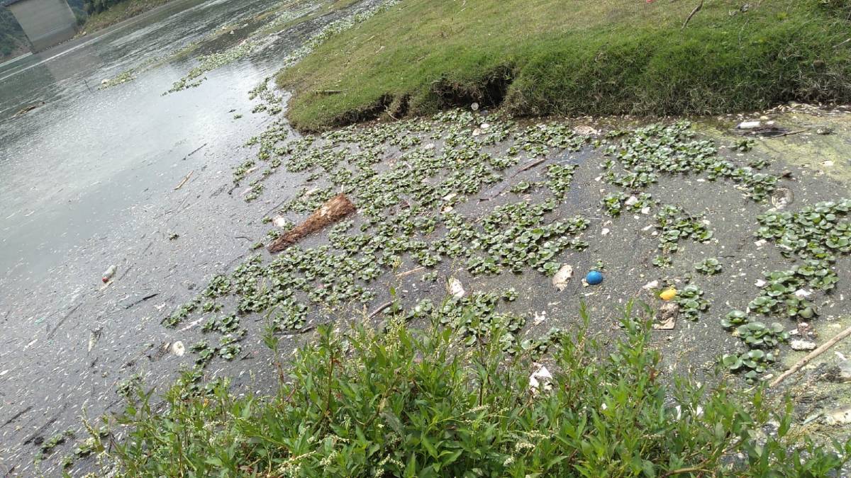 Video: Presa Madín, un vertedero acuático