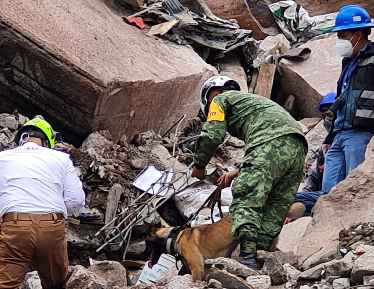 Ingresa grupo especial del Ejército para continuar la búsqueda de 3 desaparecidos en el Cerro del Chiquihuite