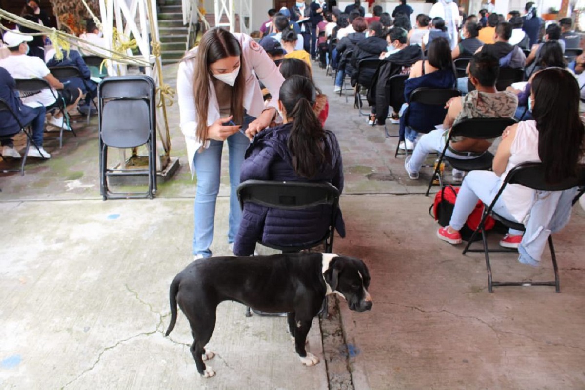 A partir de este viernes vacunarán contra Covid-19 a jóvenes de 18 a 29 años