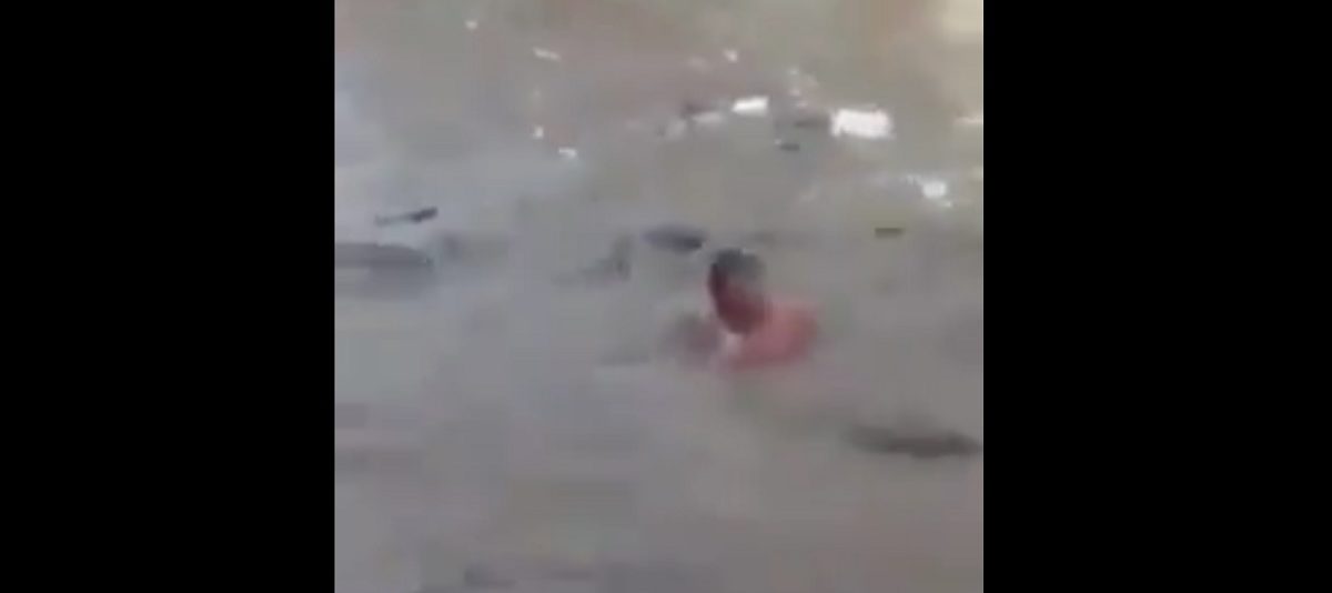 Video: Mueren un adulto mayor y una mujer por las lluvias en Ecatepec