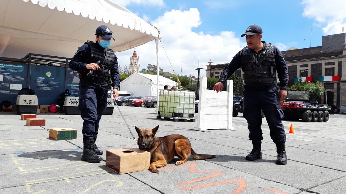 Merlín, el perro policía que participa en operativos mochila