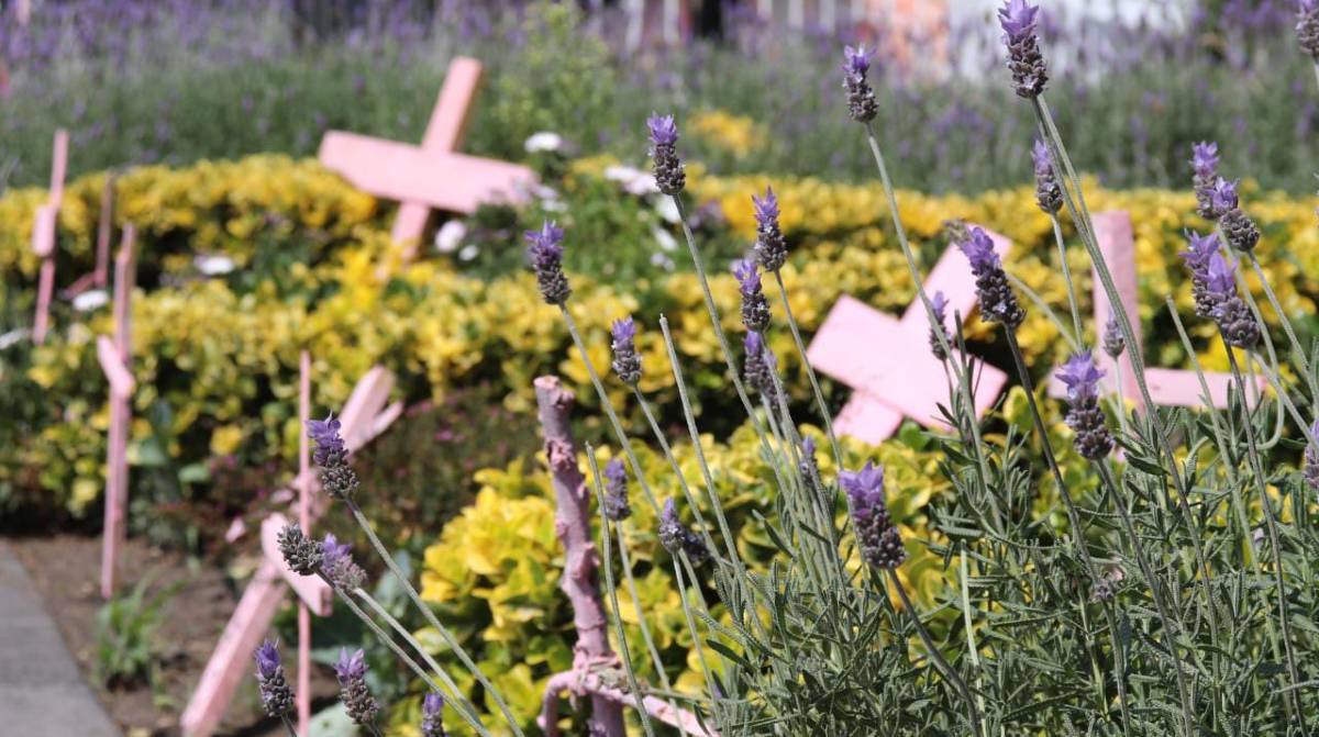 Asesinan a una joven madre en Temoaya