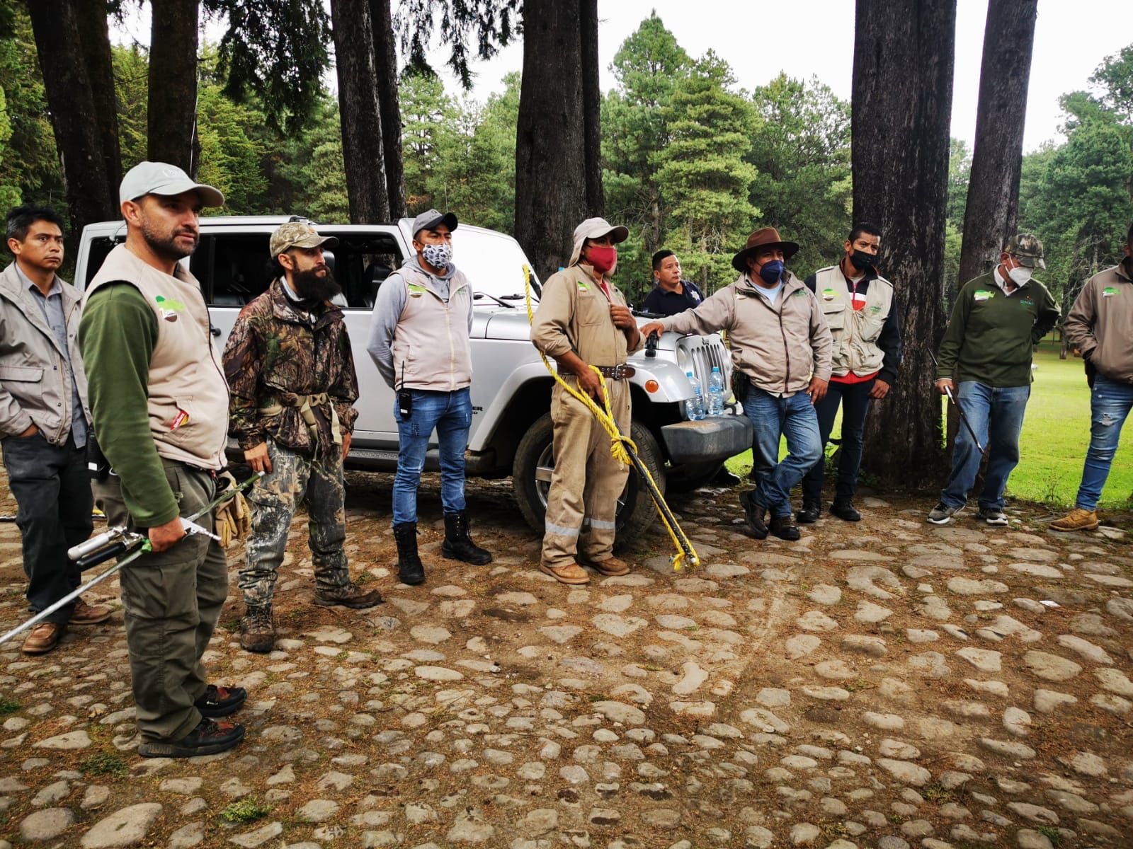 Intensifican búsqueda de lobo que escapó de un parque en Tenancingo