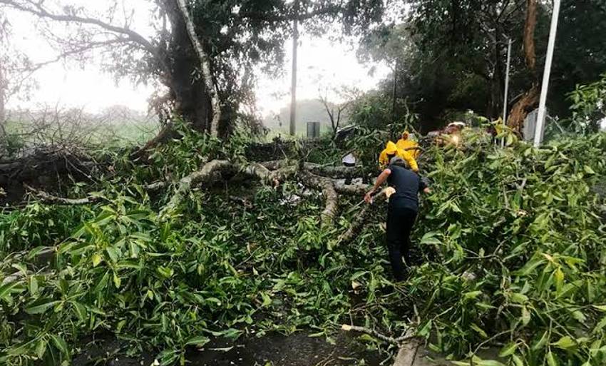 Protección Civil de Naucalpan atiende 399 emergencias en los últimos 3 meses