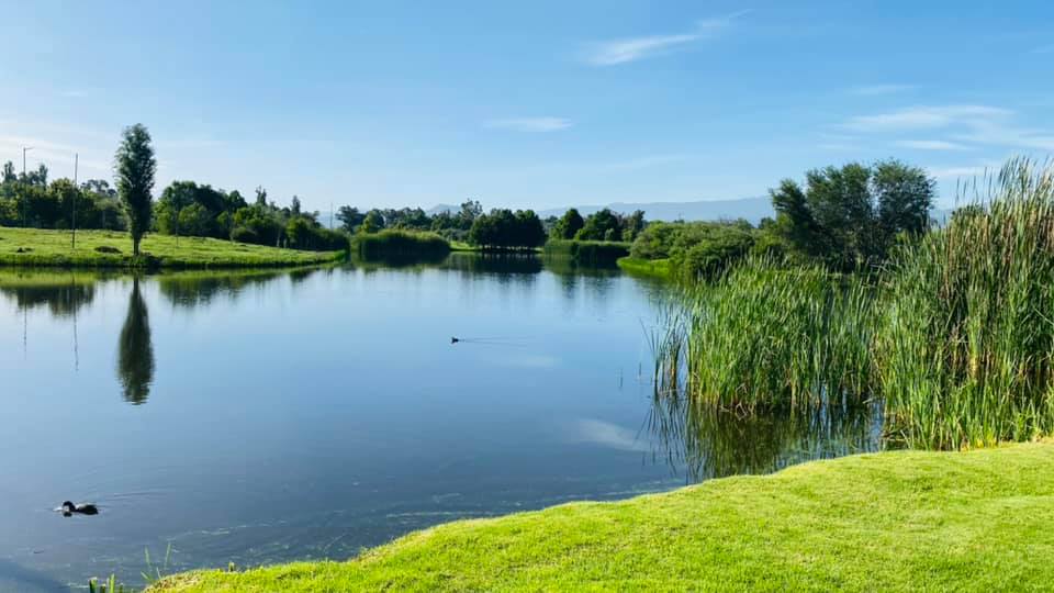 Declararán región "Lago de Texcoco" como área natural protegida