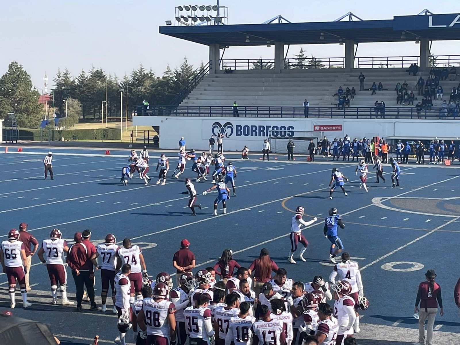 Borregos Tec Toluca derrota a Burros Blancos IPN