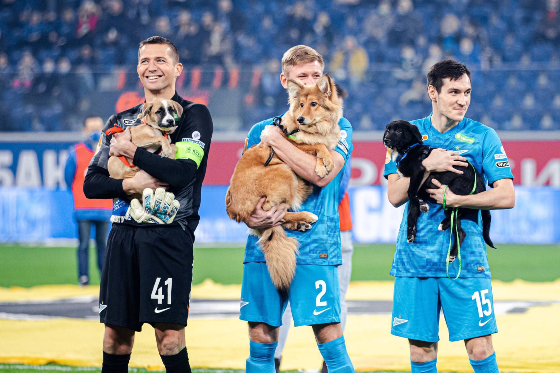 Jugadores Rusos promueven la adopción de mascotas