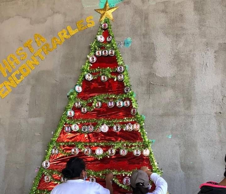 Video: Buscadoras colocan árbol de navidad cerca del Gran Canal