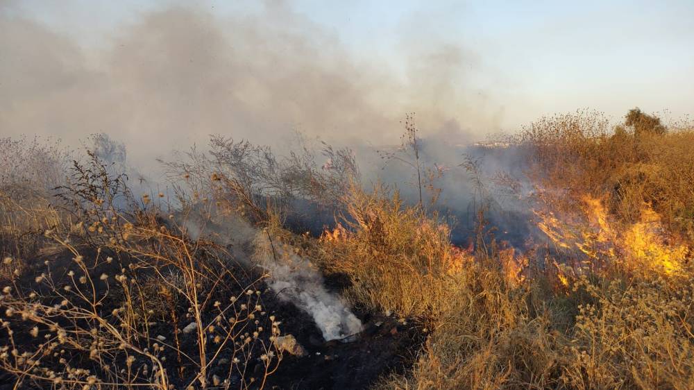 Se incendia pastizal del Bordo de Xochiaca en Nezahualcóyotl