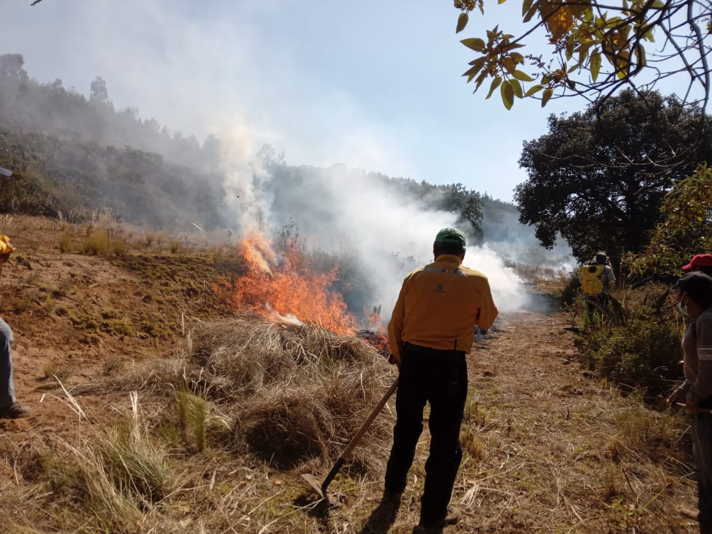 incendios forestales en el Edomex