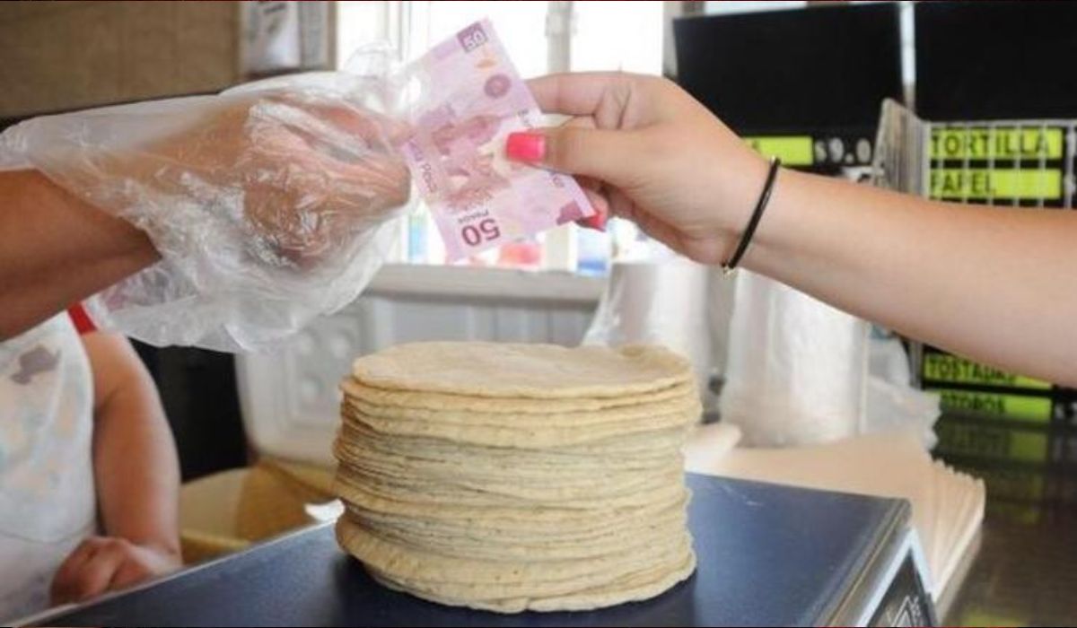 El precio del kilo de tortilla se mantiene sin aumentos