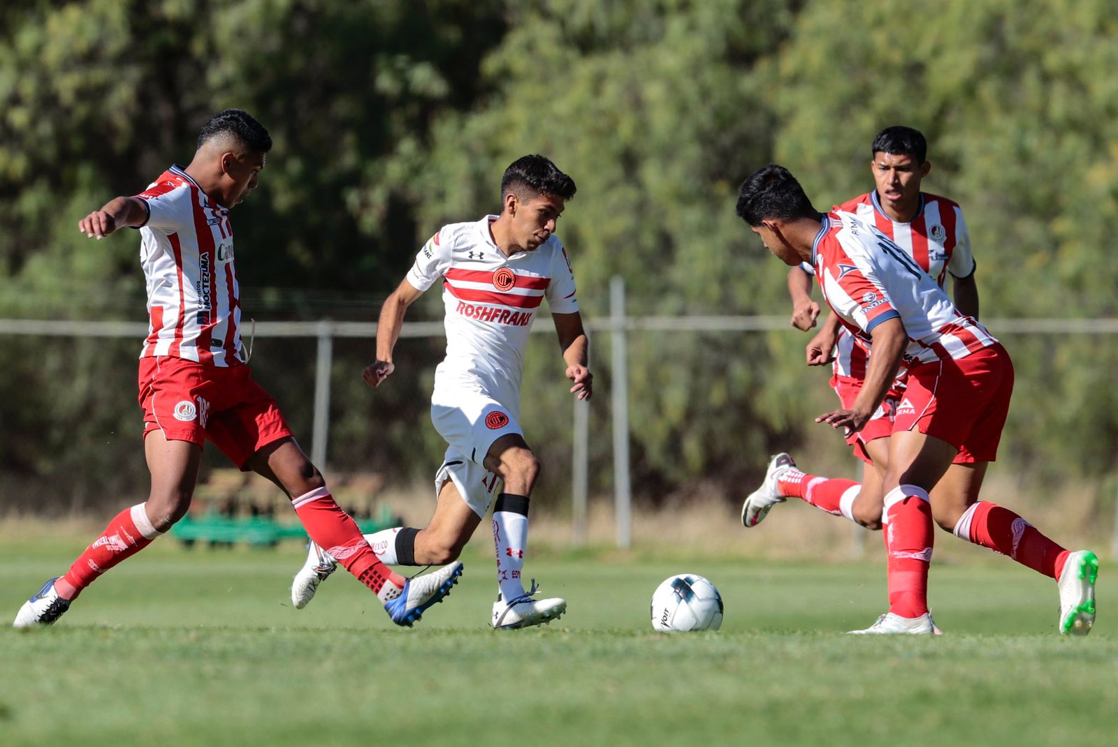 Toluca FC Sub-20