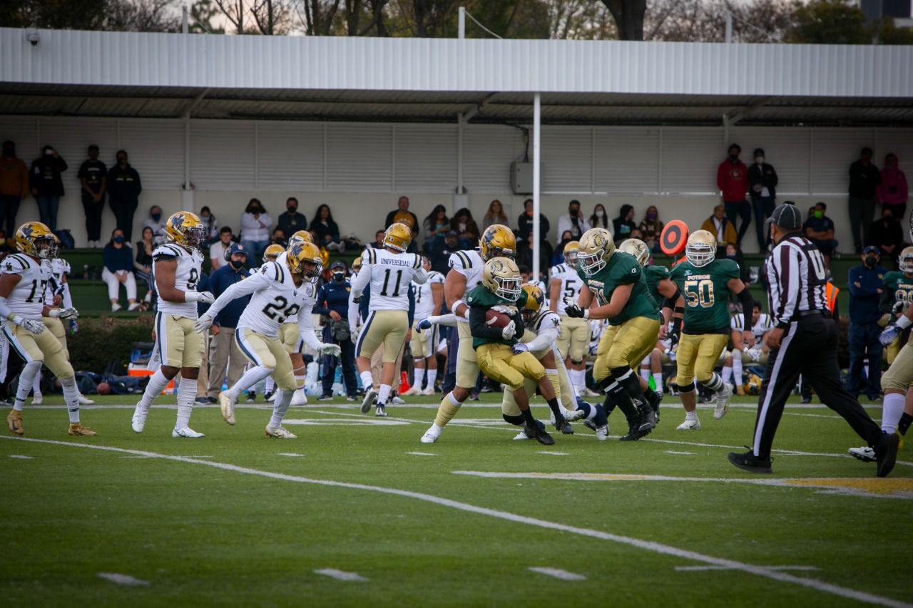 Definidas las Conferencias de la Liga Mayor 2022 de la ONEFA