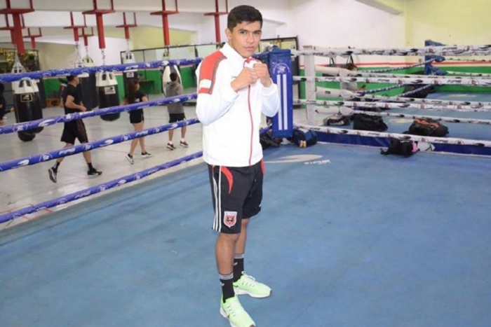 continental de boxeo