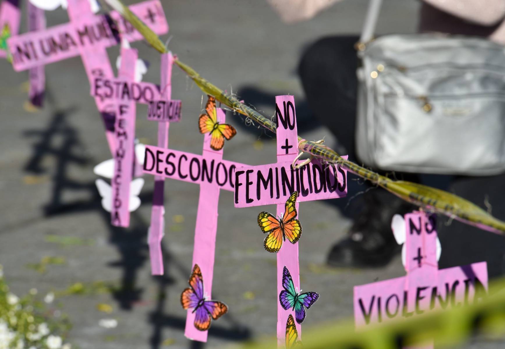 feminicidios en Edomex