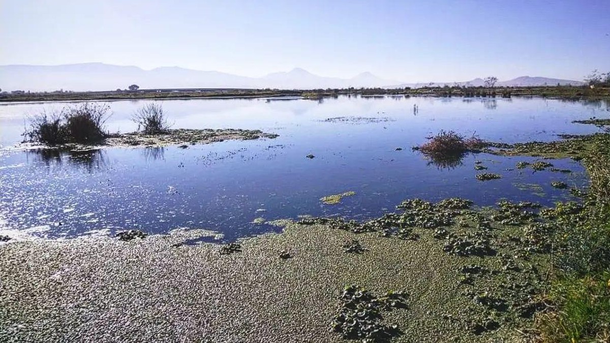 Lago de Texcoco ya es área natural protegida