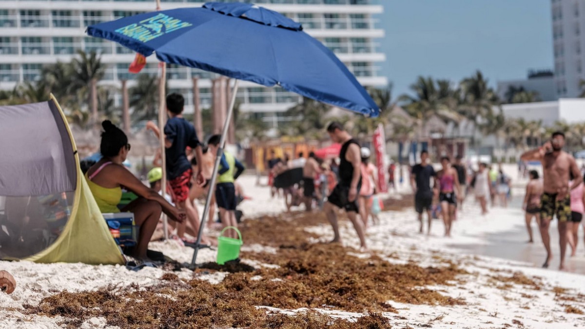 Sargazo amenaza vacaciones de Semana Santa en Quintana Roo