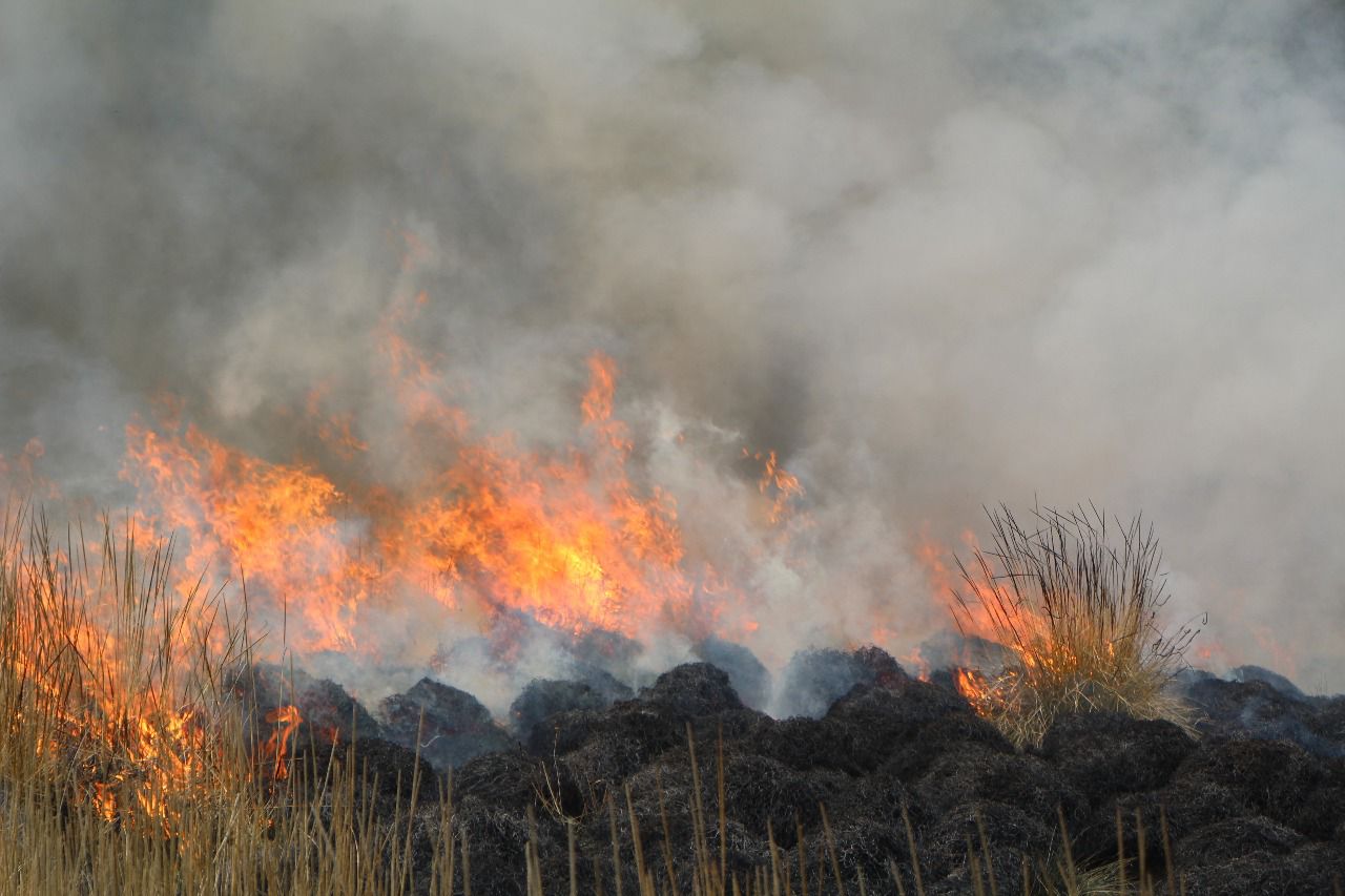 Legislatura avala sanciones para reducir incendios y emitir licencias con perspectiva ambiental