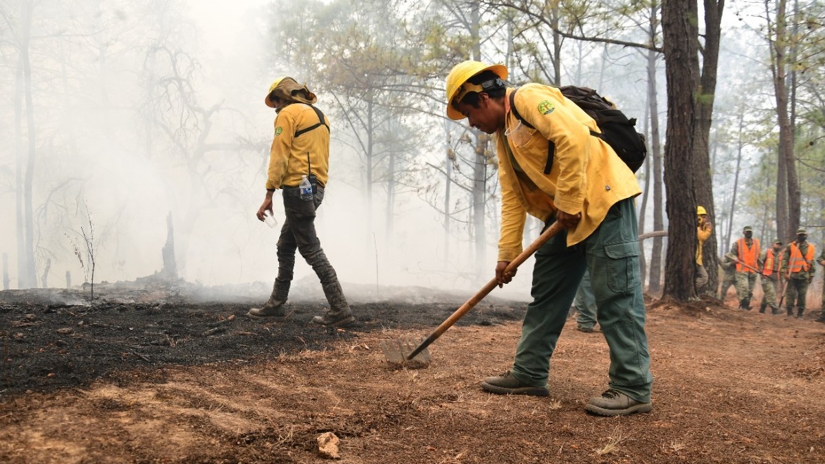 Controlan incendio forestal en Tejupilco